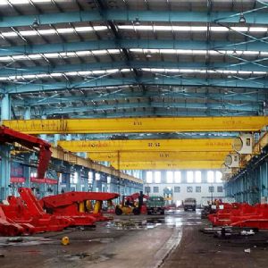 Shan neng reload European crane project